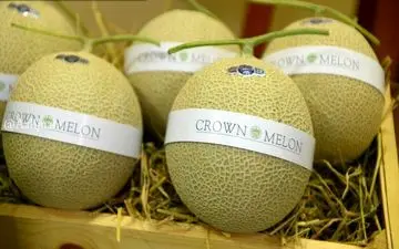 گرانترین میوه دنیا با ارزش 60 میلیون تومان