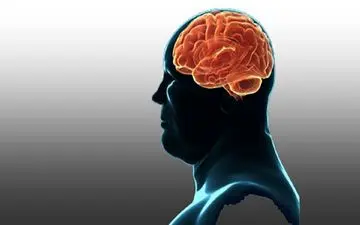 چاقی بر عملکرد مغز تأثیر منفی می‌گذارد