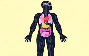 تاثیرات ویرانگر افسردگی و اضطراب بر بدن 