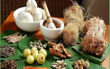 گیاهان ضد دیابت را بشناسید