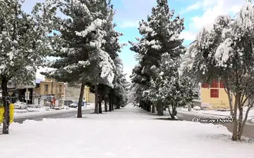 بارش برف غافلگیرکننده در یاسوج + فیلم