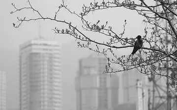 بارش‌های سیل‌آسا و گردوخاک در ۲۰ استان کشور