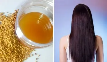 خواص شنبلیله برای مو؛ درمان ریزش، طاسی و شوره با روش‌های طبیعی