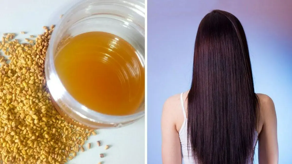   خواص شنبلیله برای مو؛ درمان ریزش، طاسی و شوره با روش‌های طبیعی 