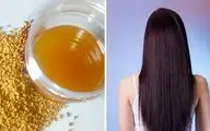 خواص شنبلیله برای مو؛ درمان ریزش، طاسی و شوره با روش‌های طبیعی
