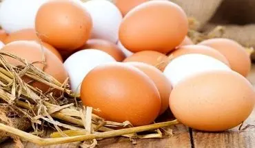 جدیدترین قیمت تخم مرغ در بازار + جدول 