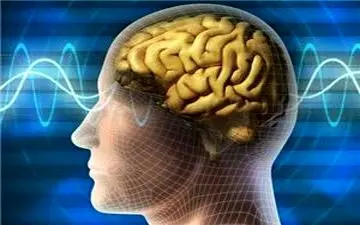  عادات مضر برای مغز