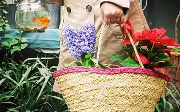 عکس نوروزی دختر جوان ایرانی که جهانی شد