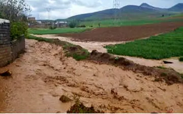 پیدا شدن جسد دو جوان غرق‌شده در سد و رودخانه سرپری دهدشت
