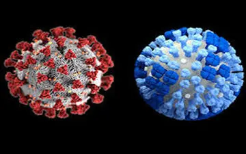 زنگ خطر آنفلوآنزا در کشور به صدا در آمد
