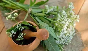 داروی گیاهی موثر برای کاهش اضطراب و تپش قلب