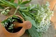 داروی گیاهی موثر برای کاهش اضطراب و تپش قلب