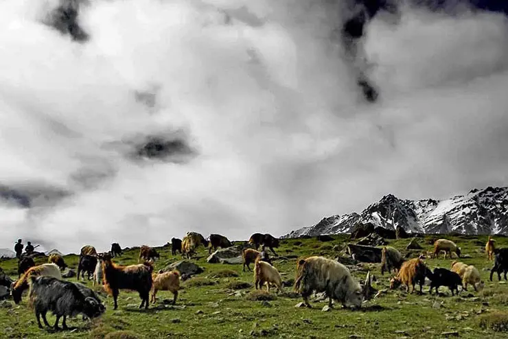 روستای الیت مرزن آباد چالوس