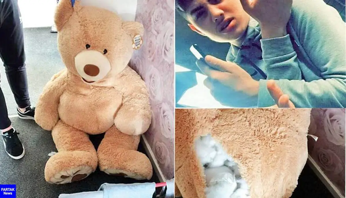 مخفی شدن سارق 18 ساله‌ در خرس عروسکی در خانه دخترموردعلاقه اش+عکس
