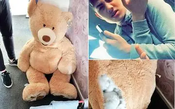 مخفی شدن سارق 18 ساله‌ در خرس عروسکی در خانه دخترموردعلاقه اش+عکس

