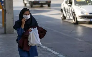  یک نماینده مجلس: دولت برای تعطیلی ۷ روزه مدارس لایحه دهد