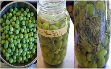 طرز تهیه ترشی گوجه سبز |خیلی عالیه!