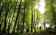 آماده شدن 118 پارک‌ جنگلی شمال کشور برای روز طبیعت
