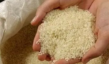  برنج ایرانی گران شد/ قیمت انواع برنج در بازار