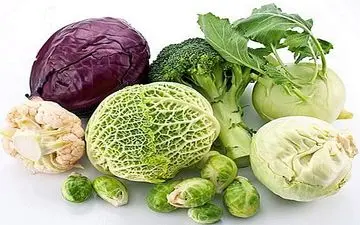 این مواد غذایی تلخ مزه و پر فایده را بشناسید