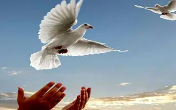 2 اعدامی در تعطیلات نوروزی جان دوباره گرفتند 