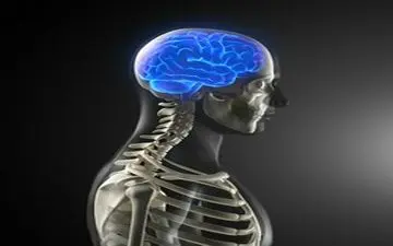 تخریب و پیری زودرس مغز با این کارهای روزانه!