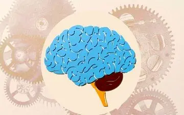 این ویتامین‌ها حافظه شما را به طور عجیبی میسازد!