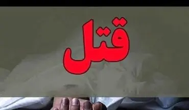 قتل زن تهرانی در آپارتمان؛ صحنه‌سازی عجیب قاتل لو رفت