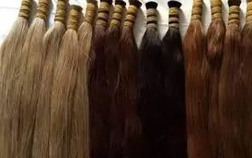 خرید و فروش موی سر؛تجارتی پرسود!