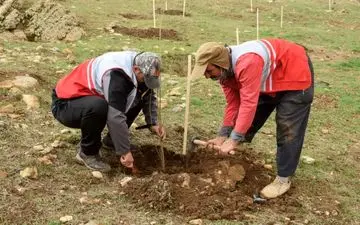 
همیاران طبیعت به پیشواز جشن درختکاری رفتند


