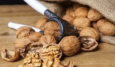 خاصیتی از گردو که شما را شوکه می‌کند/ کمتر کسی آن را می‌داند