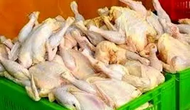یک تن گوشت مرغ فاقد مجوز در رودسر کشف شد
