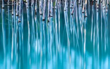  عکس منتخب نشنال جئوگرافیک | دریاچه آبی