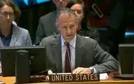 سفیر آمریکا در سازمان ملل:مبارزه با داعش پایان نیافته است
