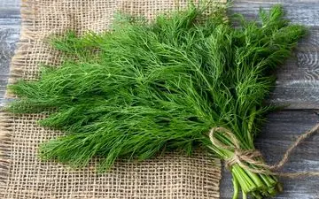 خاصیت های شگفت‌انگیز این گیاه برای سلامتی