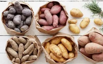 سیب زمینی هایی عجیب که تاحالا ندیده اید!