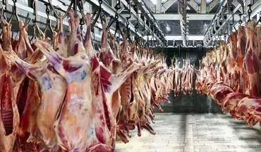 قیمت گوشت گوسفندی و گوساله ۳۰ تا ۵۰ هزار تومان ارزان شد | جدیدترین قیمت دام زنده و گوشت گوساله