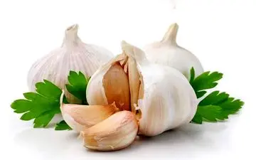  جایگزین های طبیعی برای پنی سیلین