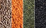 اگر موهایتان می‌ریزد، این خوراکی گیاهی را وارد رژیم‌تان کنید!