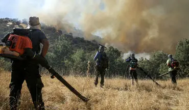 تاکنون ۶۵ سورتی پرواز برای اطفای حریق در الیت انجام شد