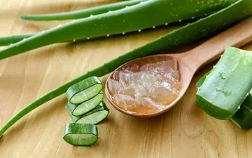 مزایا آلوئه ورا چیست؟