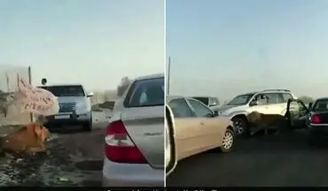 وحشت رانندگان از پرسه شیر سرگردان در جاده! +فیلم