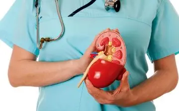 سنگ کلیه خود را اینگونه نابود کنید/ نقش تغذیه در درمان سنگ کلیه