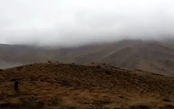 نمایی از طبیعت پاییزی در تویسرکان + فیلم 