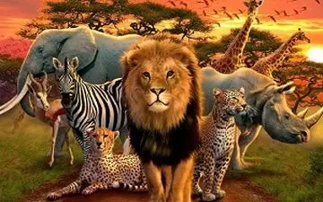 باهوش ترین حیوانات جهان کدام حیوانات هستند؟+فیلم