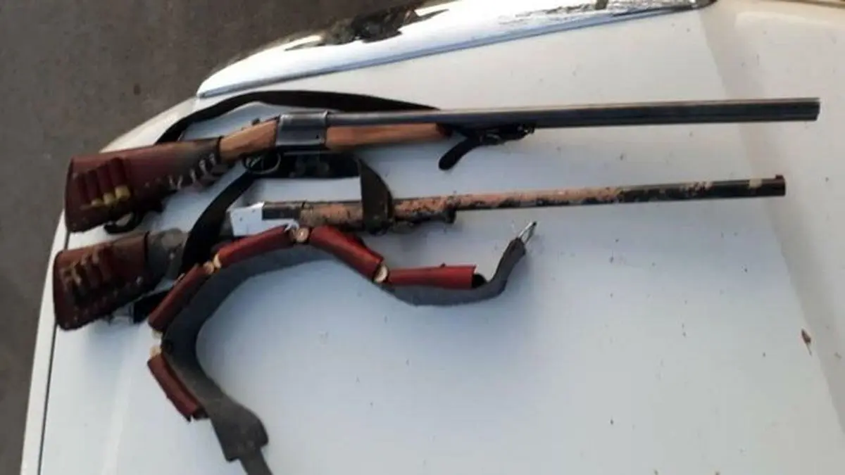 
شکار غیرمجاز یک قلاده کفتار در طارم سفلی
