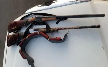 
شکار غیرمجاز یک قلاده کفتار در طارم سفلی
