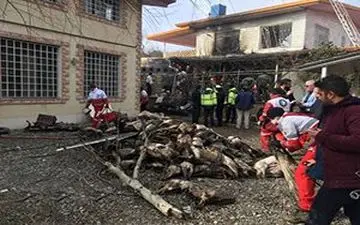 خارج کردن لاشه‌های گوسفند از هواپیمای بوئینگ ۷۰۷ + فیلم