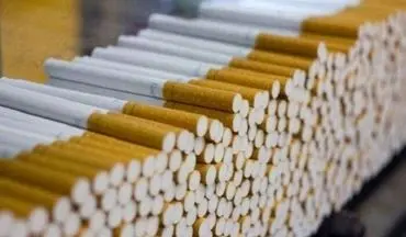 افزون بر ۲۴ هزار نخ سیگار قاچاق در آمل کشف شد