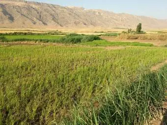 سرابله به برنج عنبر بو و  سراب وچشمه‌سارهای پر آب مشهور است، اما شهری که بعد از سال‌ها خشک‌سالی در کشور یکی از  پرآب‌ترین شهرهای ایران است